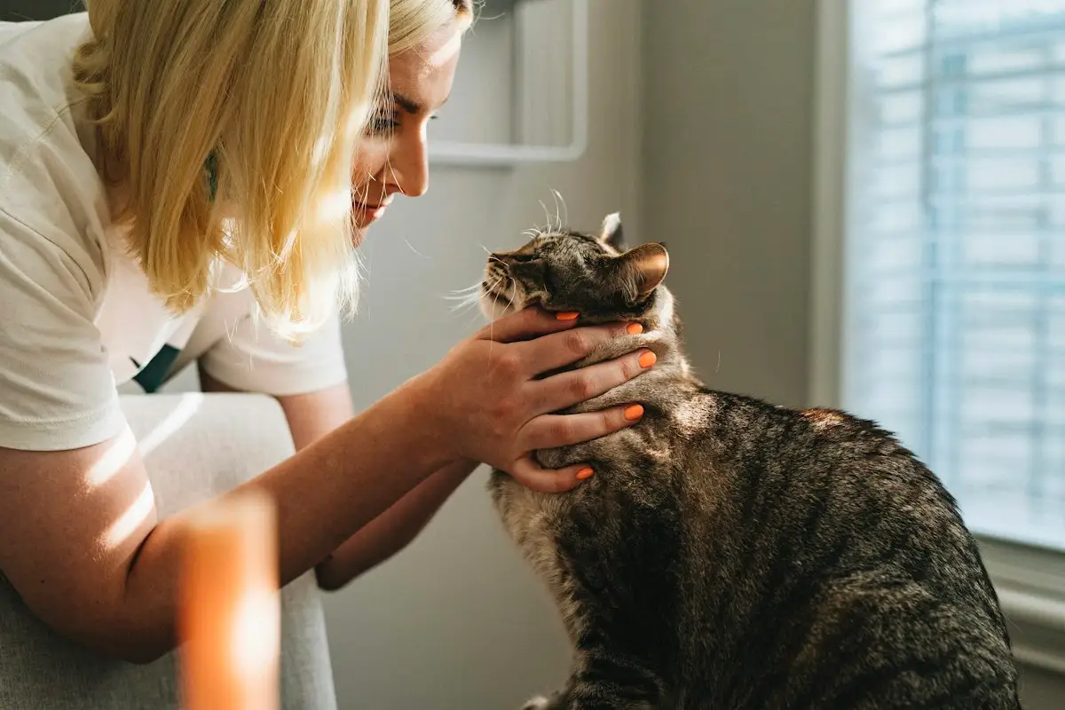 Compassionate veterinarian examining family pet in modern animal clinic